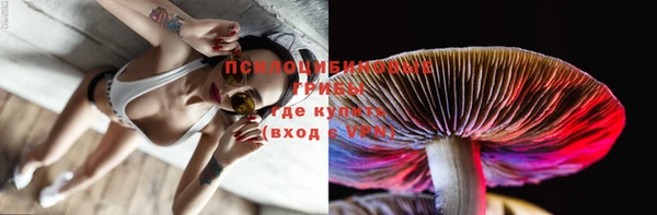 стафф Баксан