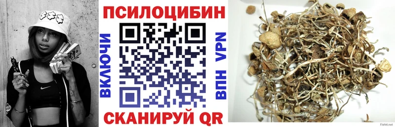 Галлюциногенные грибы мухоморы Нижняя Тура